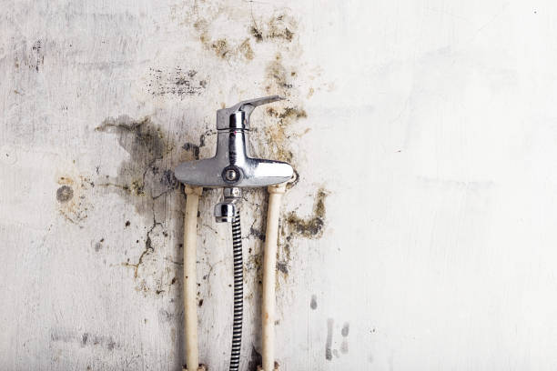Best Certified Mold Removal  in Mar Mac, NC