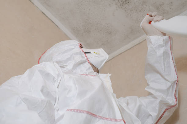 Mold Removal Process in Mar Mac, NC