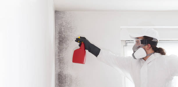 Crawl Space Mold Removal in Mar Mac, NC