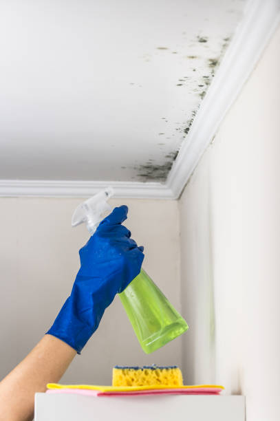 Best Emergency Mold Removal  in Mar Mac, NC
